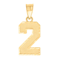 10kt Yellow Gold Unisex Initial Number 2 Charm Pendant