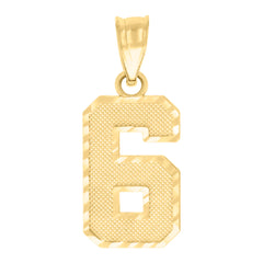 10kt Yellow Gold Unisex Initial Number 6 Charm Pendant