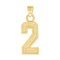14kt Yellow Gold Unisex Initial Number 2 Charm Pendant