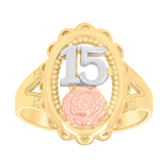 10Kt Two-Tone Gold Mens Diamond-Cut Pharaoh Charm Pendant