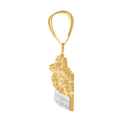 10kt Two-Tone Gold Mens The World Is Yours World Map Charm Pendant