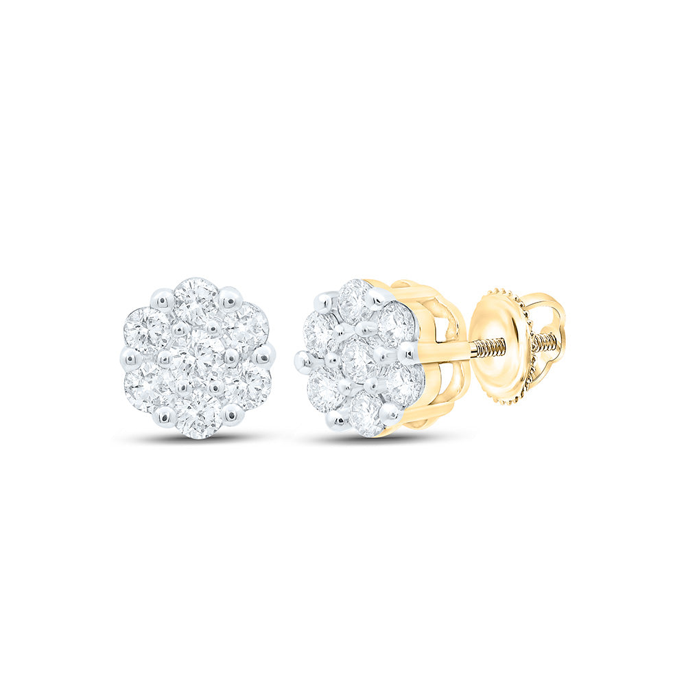 10k Gold 1/5 CTW-Natural Diamond Gift Flower Earring