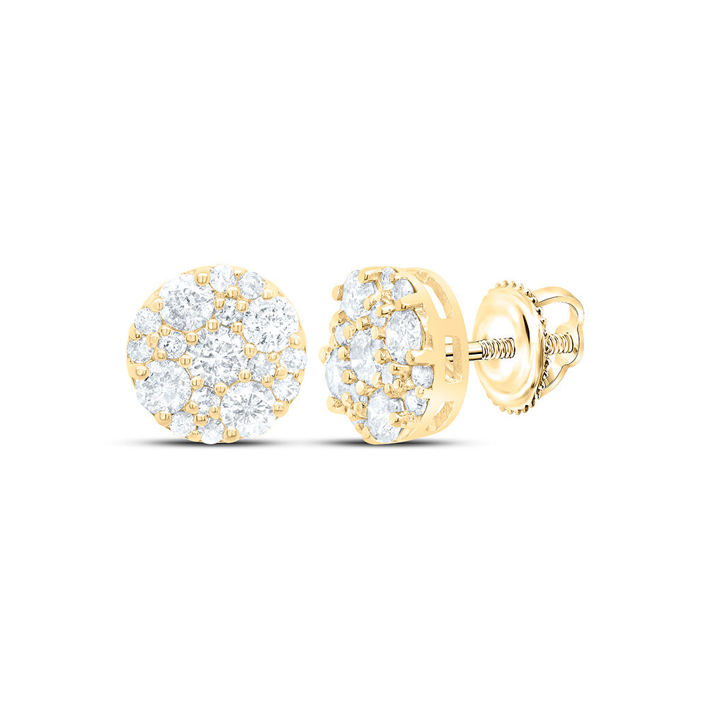 10k Gold 1/3 CTW-Natural Diamond Gift Round Earring