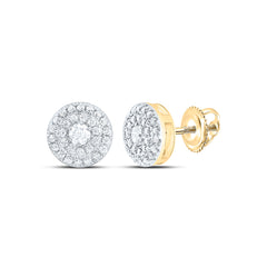 14k Gold 1/3 CTW-Natural Diamond Fashion Round Earring