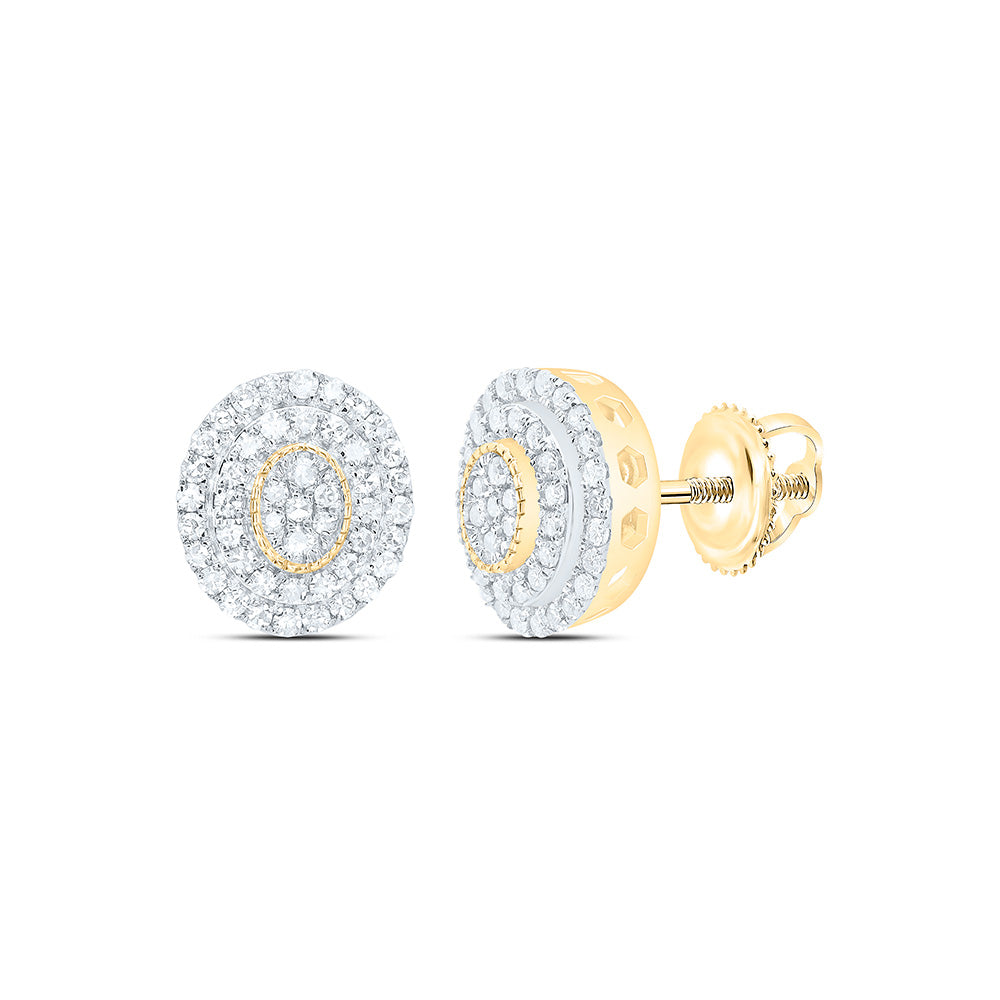 10k Gold 3/8 CTW-Natural Diamond Fashion Oval Earring