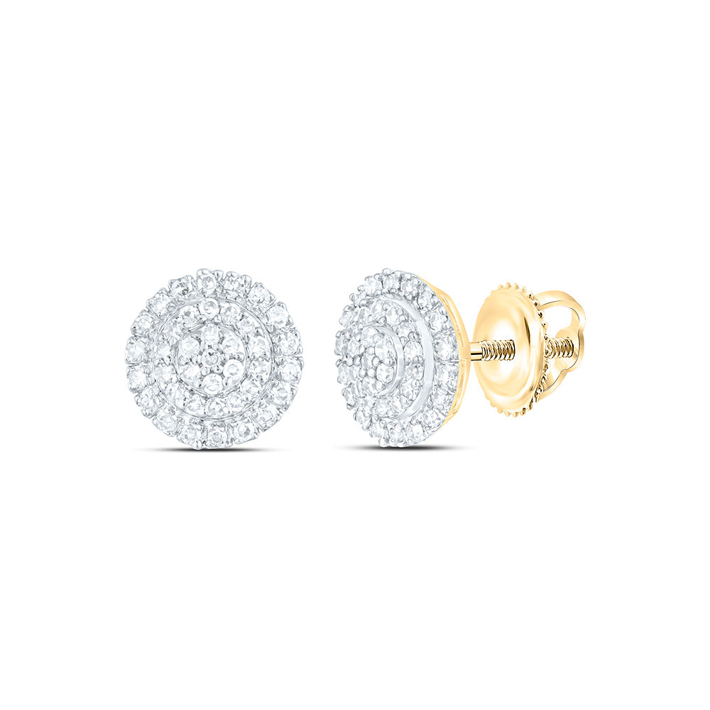 10k Gold 1/6 CTW-Natural Diamond Fashion Round Earring