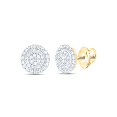 10k Gold 1/6 CTW-Natural Diamond Fashion Round Earring