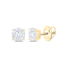 10k Gold 1/4 CTW-Natural Diamond Fashion Round Earring