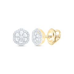 10k Gold 1/4 CTW-Natural Diamond Fashion Flower Earring