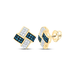 10k Gold 1/3 CTW-Natural Diamond Blue Diamond Earring