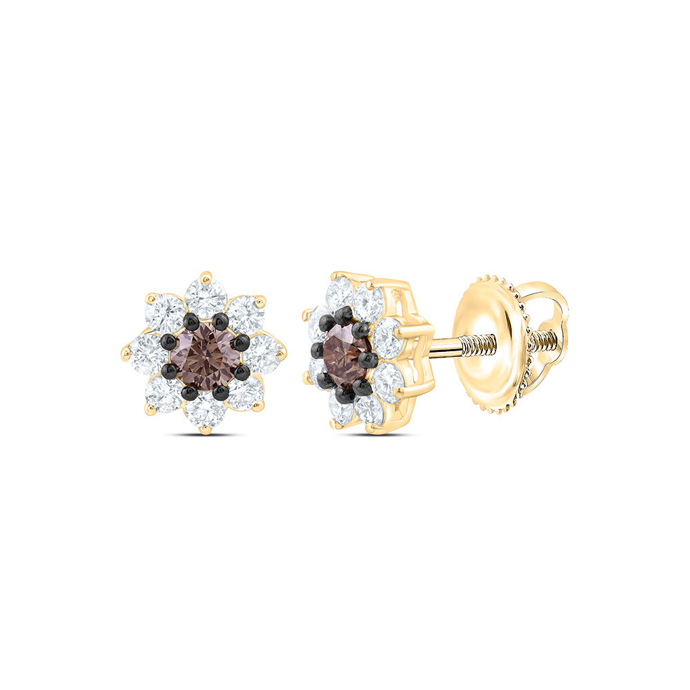 10k Gold 1 1/5 CTW-Natural Diamond 1/4 Ct-Rd-Br Fashion Cognac Natural Flower Earring