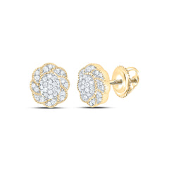 Sterling Silver 1/4 CTW-Natural Diamond Gift Flower Earring